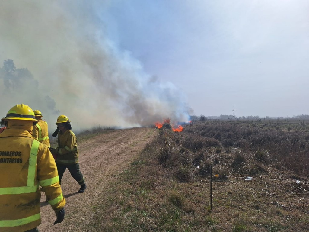 Bomberos trabaja para extinguir un Importante incendio forestal