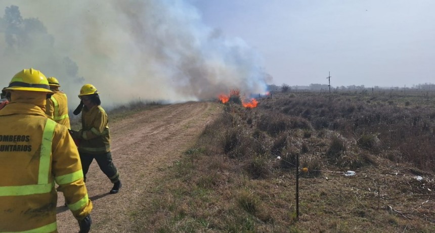 Bomberos trabaja para extinguir un Importante incendio forestal