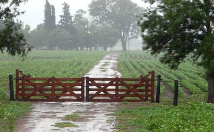 La última lluvia tuvo registros similares en todo el partido de Bolívar y alrededores