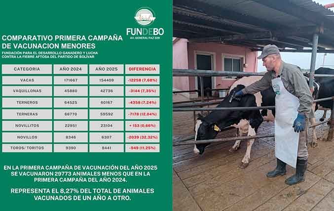 Sanidad Animal en Alerta: Importante caída en la vacunación de animales en Bolívar: desde FUNDEBO alertan sobre el impacto sanitario
