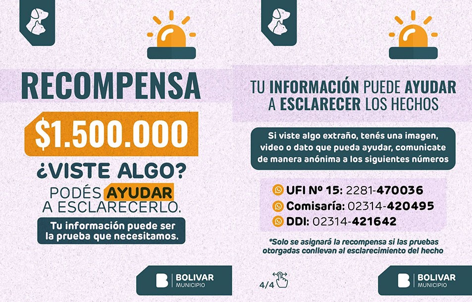 El Municipio trabaja con SAPAAB y Fiscal&iacute;a para avanzar en el esclarecimiento de casos de envenenamiento de animales