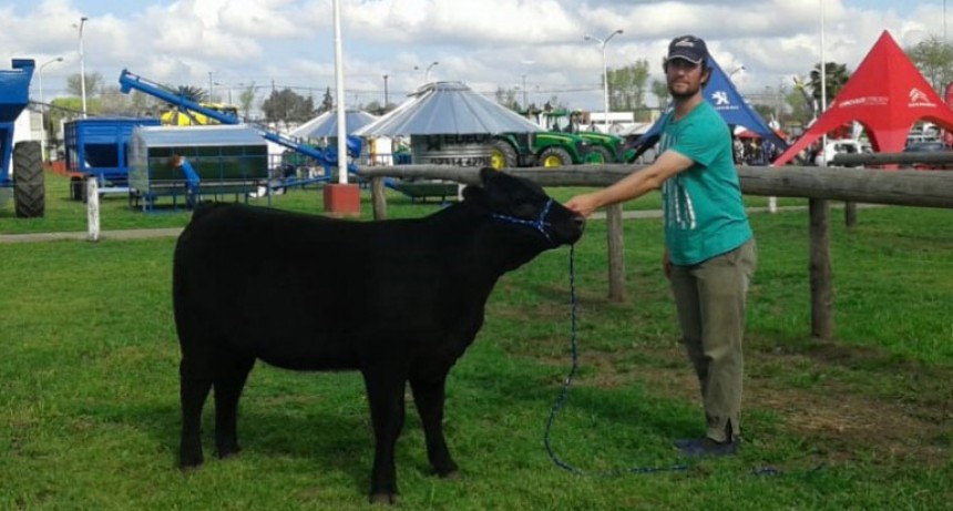 Juan Martin Huter present&oacute; sus mejores Angus en la Expo 2018