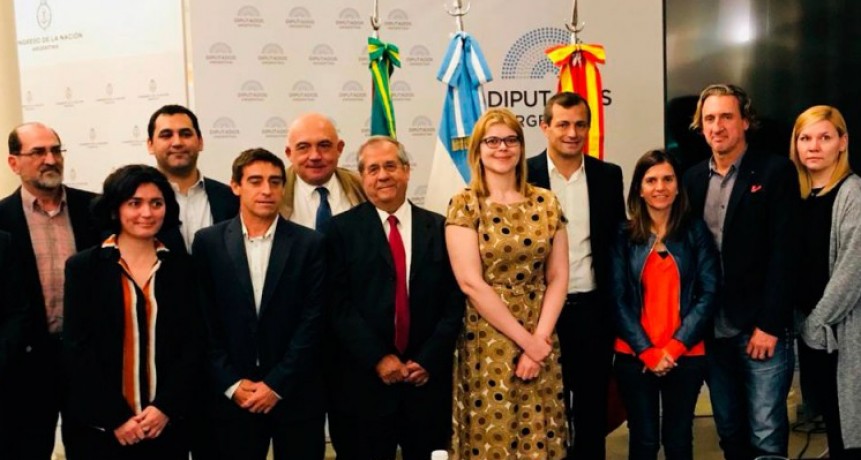 Bucca junto a cient&iacute;ficos, present&oacute; un proyecto de ley para prevenir la intoxicaci&oacute;n por Mon&oacute;xido de Carbono