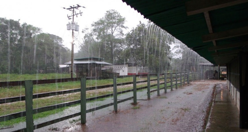 Hasta 24MM de lluvias ca&iacute;das en Bol&iacute;var y la zona durante la jornada del domingo 
