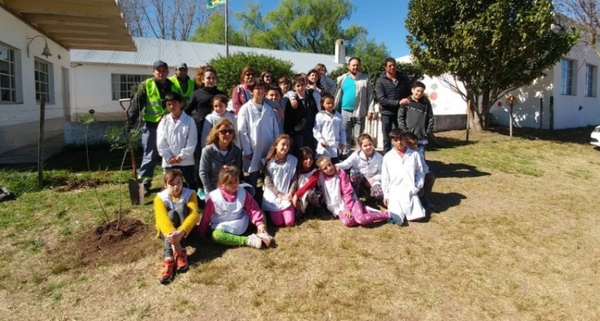 Alumnos de la escuela N.&deg; 11 realizaron una forestaci&oacute;n junto a la Municipalidad