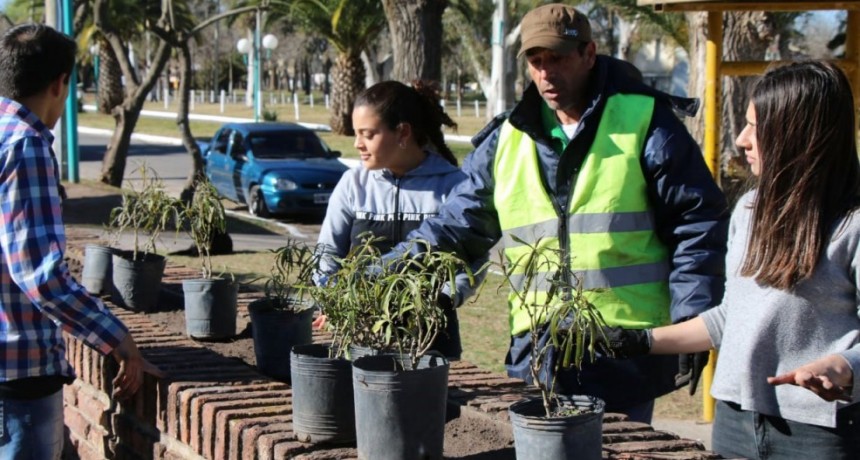 La Municipalidad realiz&oacute; una forestaci&oacute;n junto a alumnos de la Escuela Secundaria N.&deg; 4