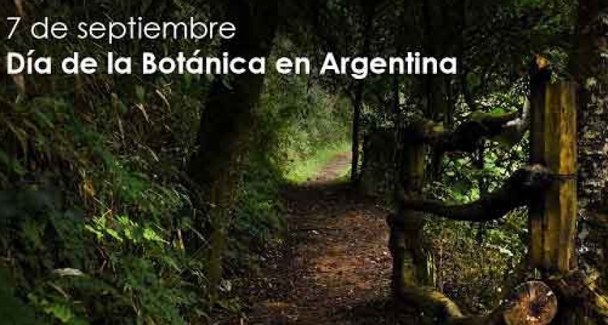 Día de la Botánica