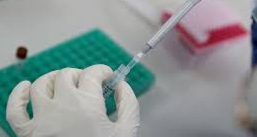 Nota La Nación: Las muertes suman casi 10.000 y podrían duplicarse para noviembre