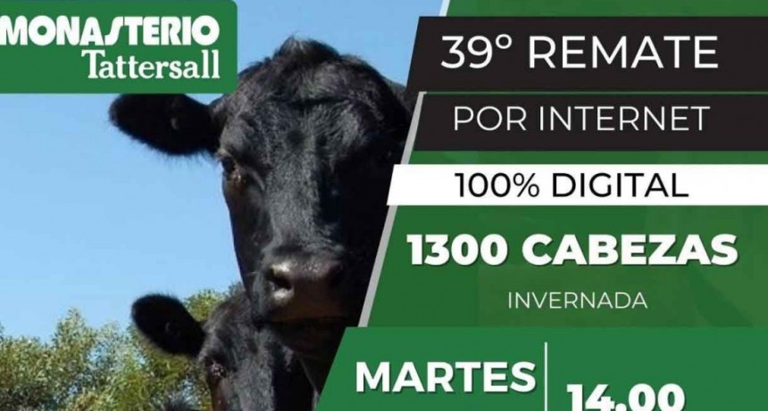 Importantes lotes para la zona se presentarán en el 39º remate digital de Monasterio Tattersall