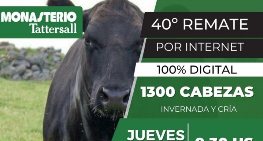 Este jueves es el 40&deg; remate de Monasterio Tattersall 
