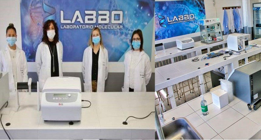 Laboratolio de Biolog&iacute;a Molecular: Con entusiasmo y convicci&oacute;n, ya se analizaron m&aacute;s de mil hisopados 