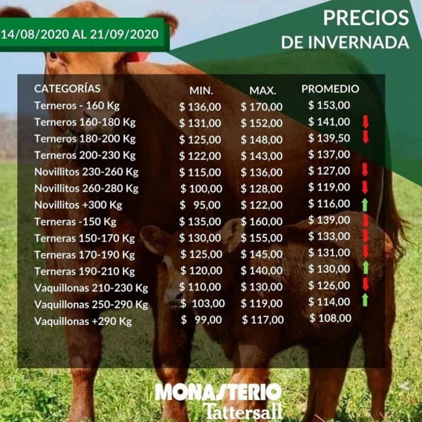 Zabala y &Aacute;lvarez invitan al 41&deg; Remate de MonasterioTattersall