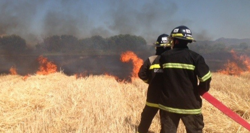 No llueve y los incendios forestales mantienen alerta a Bomberos Voluntarios