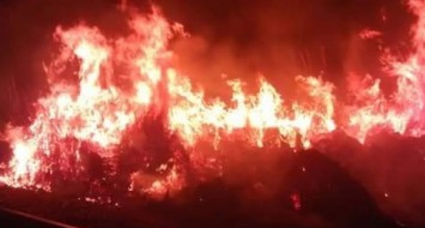 Tres salidas de Bomberos Voluntarios este jueves