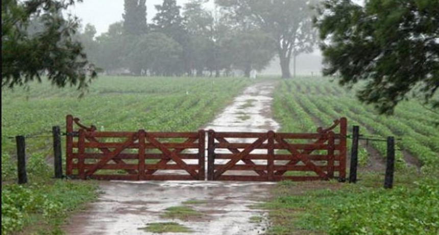 La lluvia en Bol&iacute;var lleg&oacute; a 65 mil&iacute;metros, en 25 de Mayo m&aacute;s de 100 mil&iacute;metros