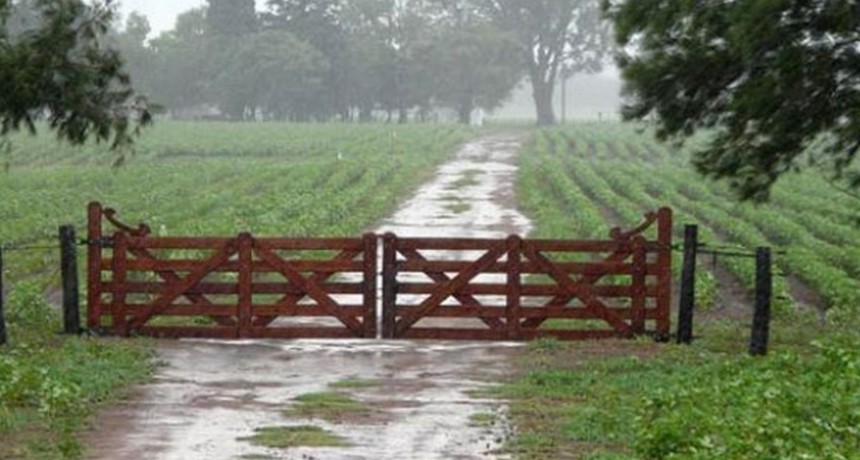 Copiosas lluvias en el centro de la provincia de Buenos Aires, Bol&iacute;var 105 mil&iacute;metros y Urdampilleta 100