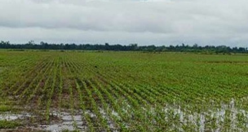 Lluvias en Bol&iacute;var y la zona