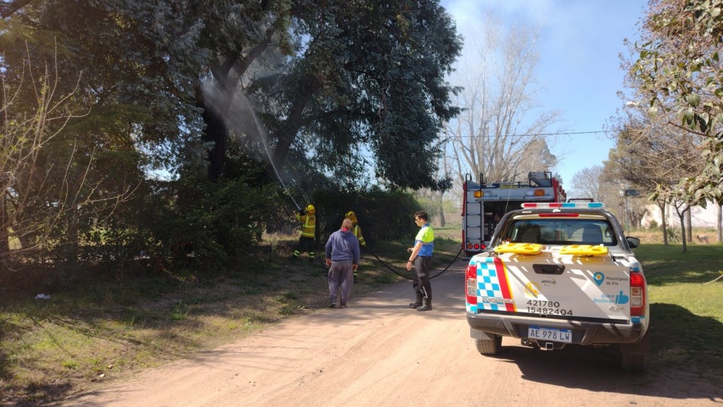 Bomberos extinguieron el incendio de un pino