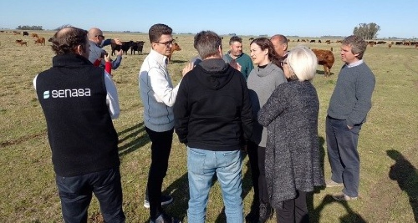 Serbia se prepara a abrir su mercado a la carne bovina de la Argentina