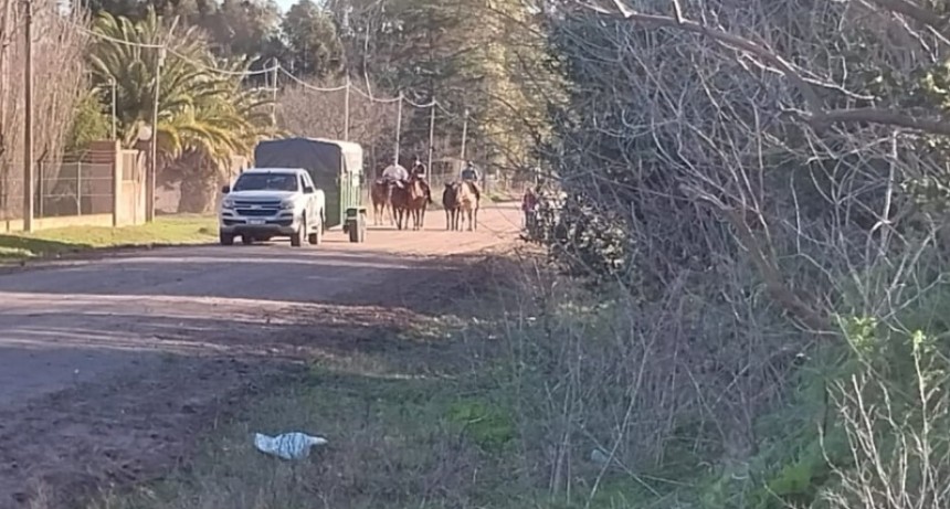 El Padre Mauricio Scoltore invita a recibir a los gauchos peregrinos que arriban a las 15.30 a Bolívar