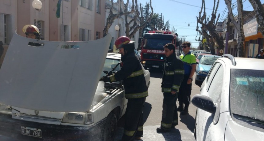 Bomberos y el Equipo Emergente trabajaron en la extinción del incendio de un vehículo