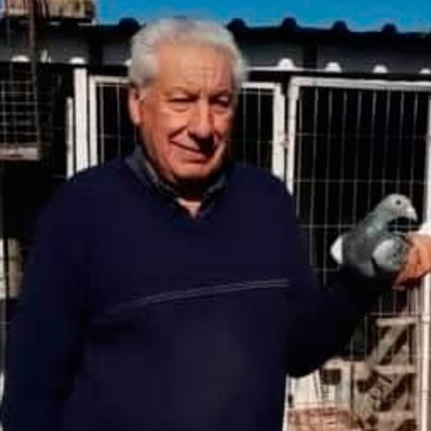 Miguel Islas: “El pichón que ganó, marcó ocho veces seguidas los mejores puestos” 