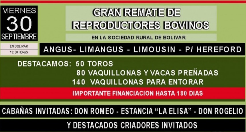 Este viernes se viene el remate de reproductores bovinos, en FM 10 hablamos con Mauricio Gourdón de CIASA