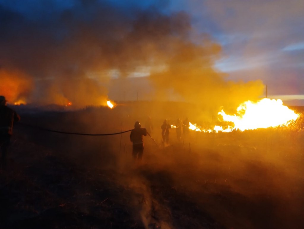 Bomberos Voluntarios de Urdampilleta acudieron para extinguir un incendio que se propagó en 20 hectáreas