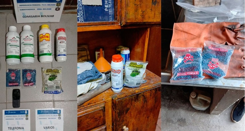 Avanza una investigaci&oacute;n por el envenenamiento de animales en barrio Colombo: se realiz&oacute; un allanamiento con resultado positivo
