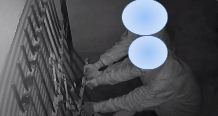 Robaron y las c&aacute;maras de seguridad grabaron todo
