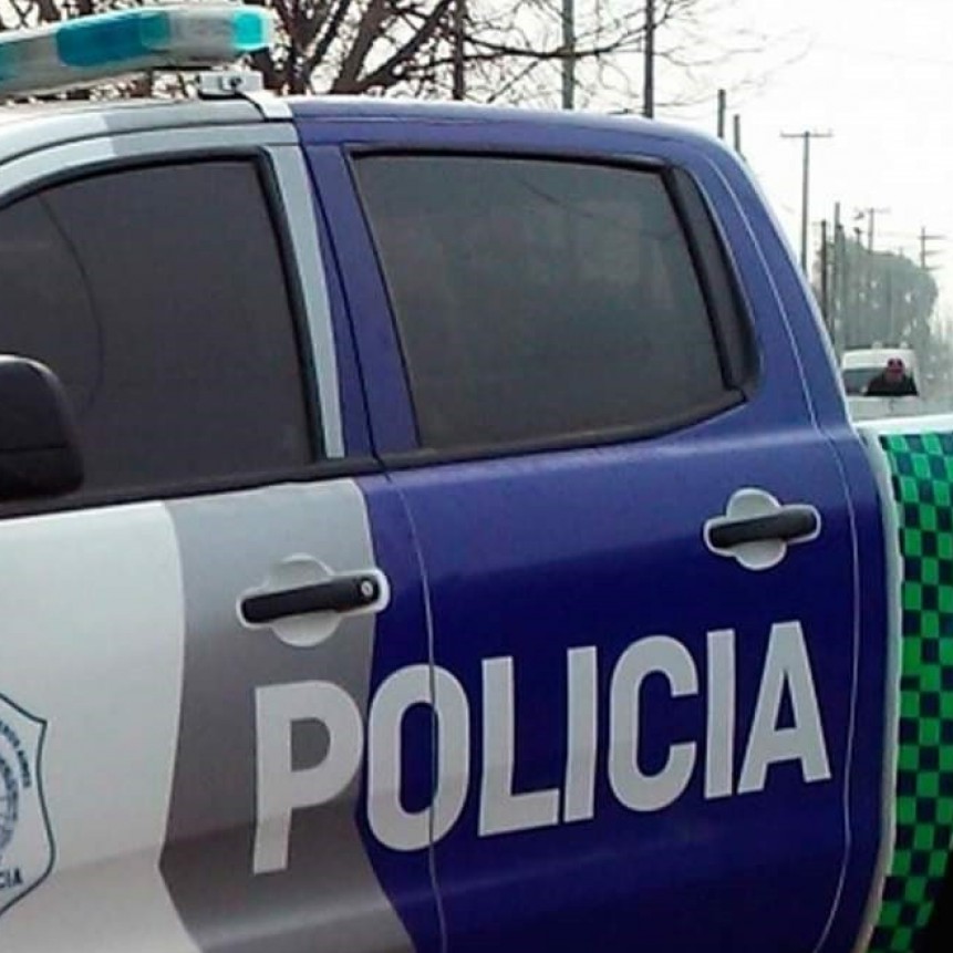 Un joven con fractura de mand&iacute;bula y dos aprehendidos por intento de hurto