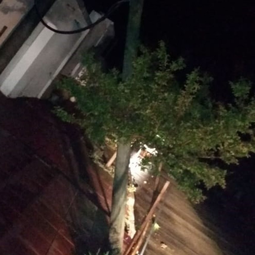 La tormenta gener&oacute; situaciones de emergencia