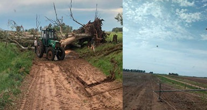 Finalizaron los trabajos generados a ra&iacute;z de la tormenta del domingo