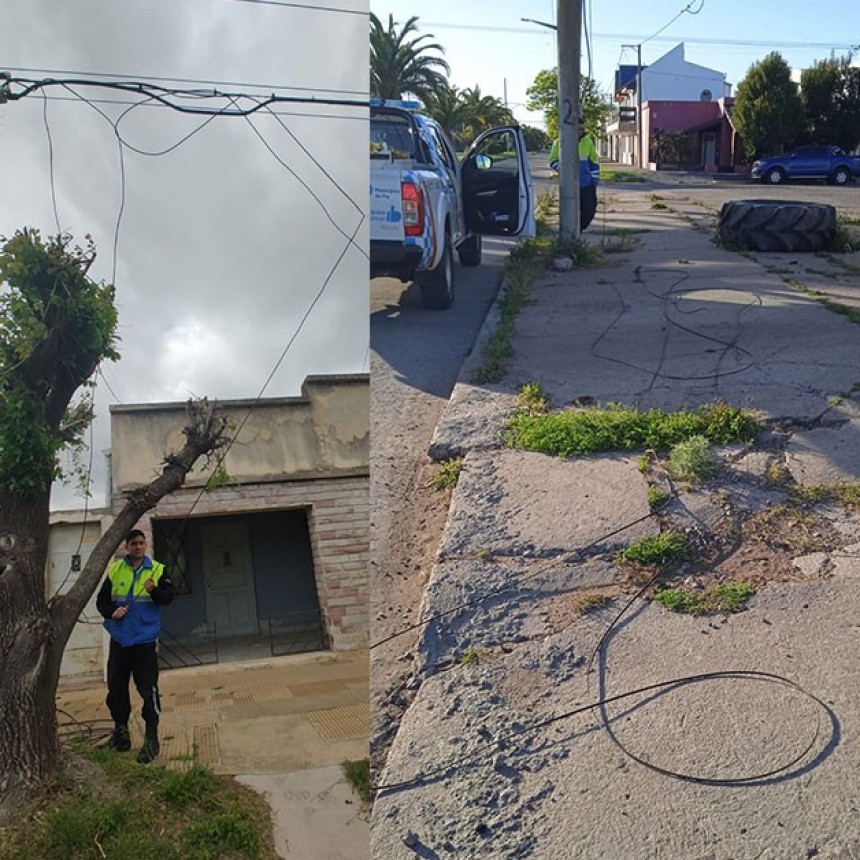 El fuerte viento que se abatió durante viernes y sábado, dejó muchos cables cortados, en este caso no son de electricidad
