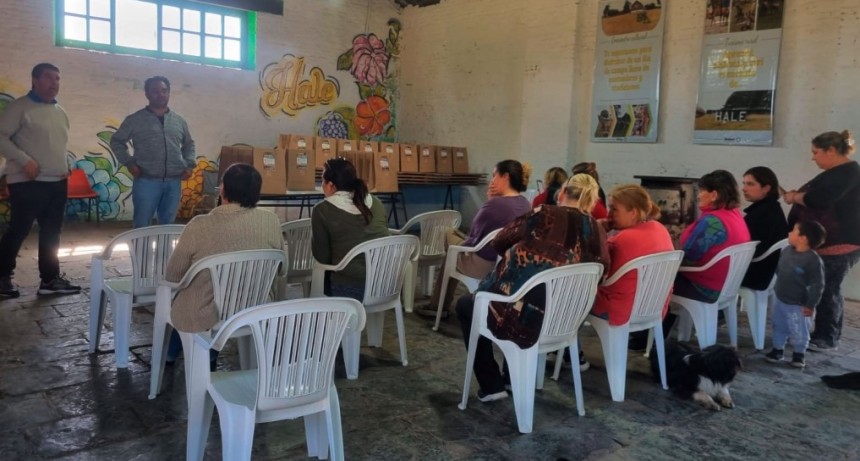 Huertas Familiares: El programa que impulsa el Director de la Producción Javier Fernández, ya está en Hale