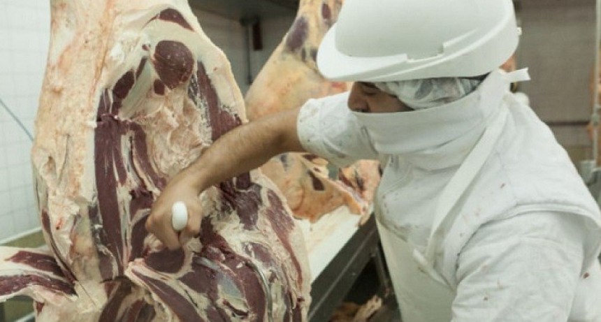 El próximo 1 de noviembre vence el plazo para la comercialización de medias reses