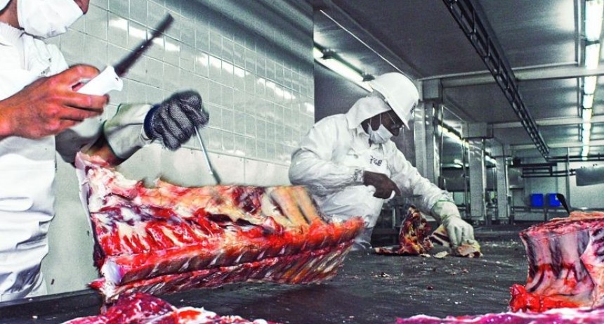 Desde el martes ya no se verá la media res en las carnicerías, quedará trozada en 4 partes que no superen los 32 kilos