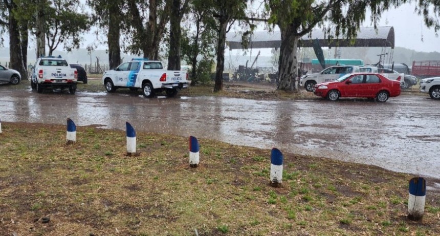 Clausura en el frigorífico donde se faenó la hacienda robada:  Se presentaron los auditores, pero hasta el momento no hay solución