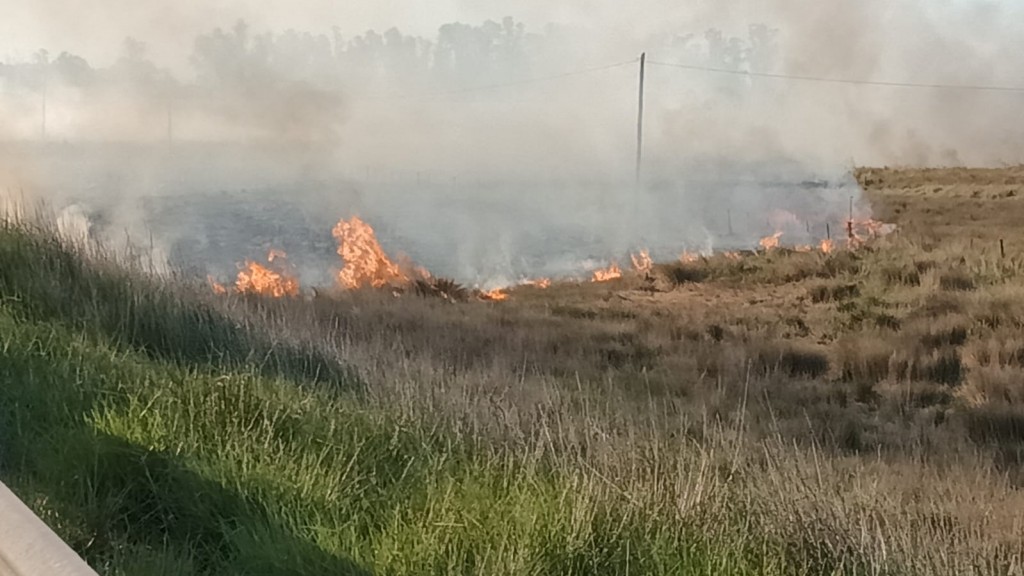 Ruta 226: Un voraz incendio en banquinas y pastos naturales de campos cercanos, forzó el corte del tránsito