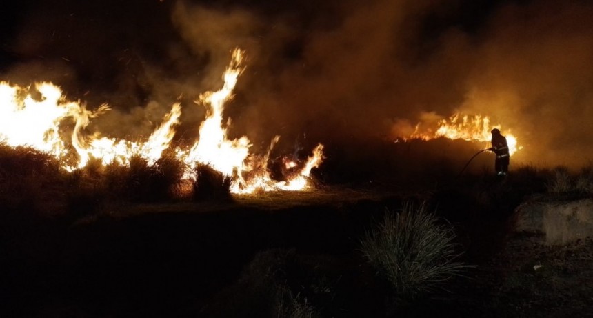 Bomberos sigue con un régimen de salidas importante a forestales y pastizales