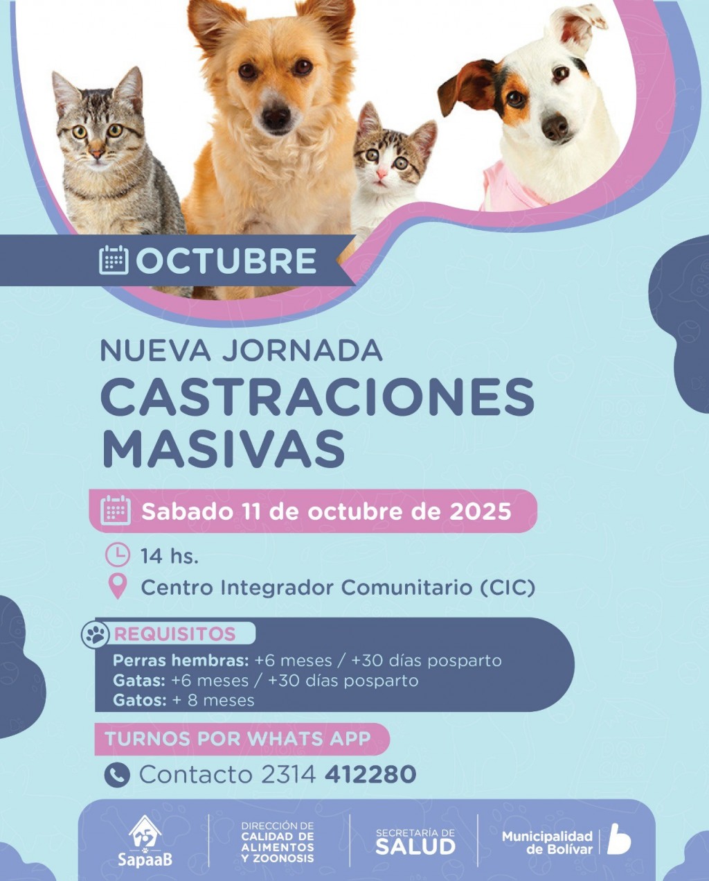 Zoonosis y SAPAAB realizarán una nueva jornada de Castración Masiva
