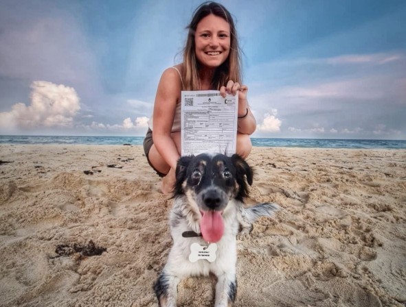 Cómo acceder en un clic al trámite digital para trasladarse con mascotas al exterior