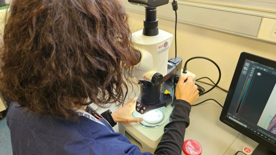 Nuevo portal Mi SENASA: Acceso online a la consulta de resultados de an&aacute;lisis de laboratorio