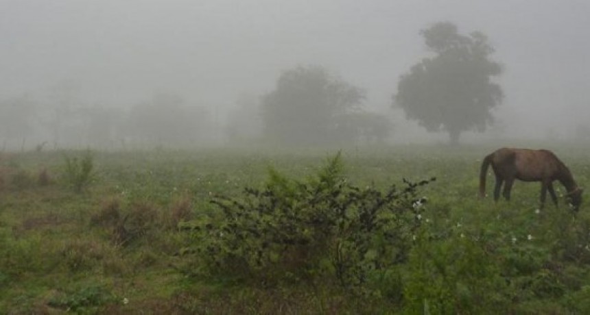 Registro acumulado de lluvias hasta el martes 13: de 35 a 135 mm