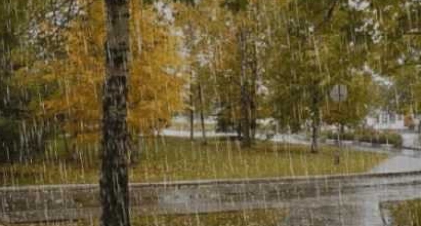 Registro de Lluvias: Desde 18 hasta 47 mm registrados en Bol&iacute;var y la zona