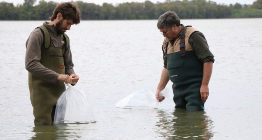 Fue sembrada con peces la Laguna El Tordillo