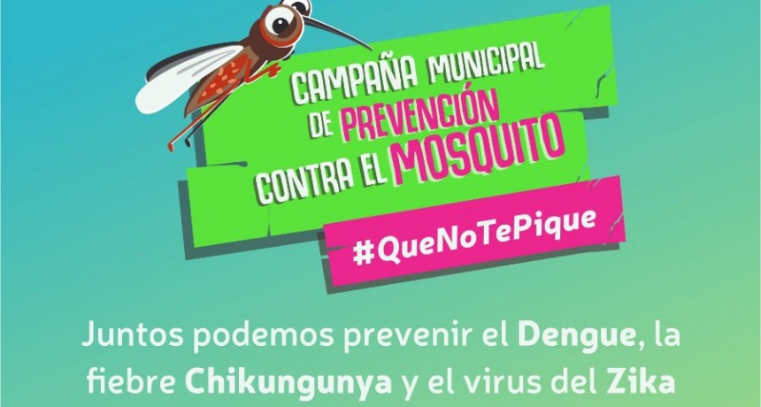 Sigue la campa&ntilde;a de pulverizaci&oacute;n contra mosquitos