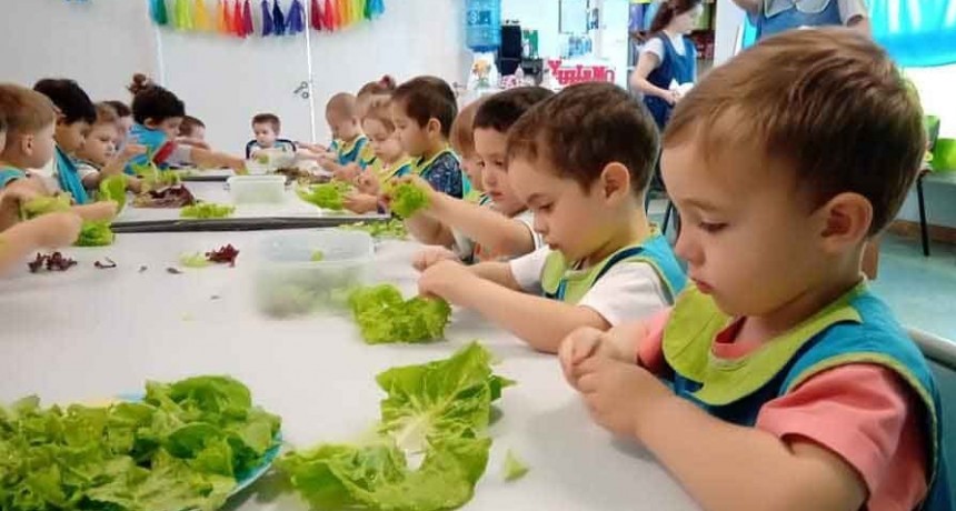 El Jard&iacute;n Municipal El Reino del Rev&eacute;s realiz&oacute; su primera cosecha