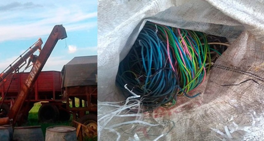 Detuvieron a un joven por el robo de cables en un campo