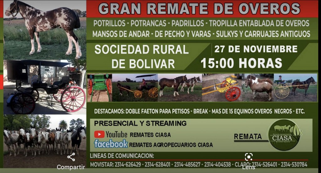 Gran remate de equinos y carruajes el próximo sábado 27 de noviembre en la Sociedad Rural de Bolívar